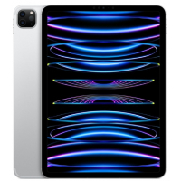 Apple iPad Pro 11'' (4. Nesil)
